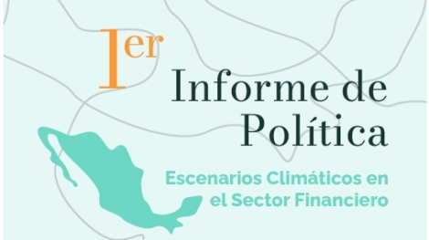 Informe-Política-1-LACADI-México-2022