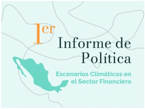 Informe-Política-1-LACADI-México-2022