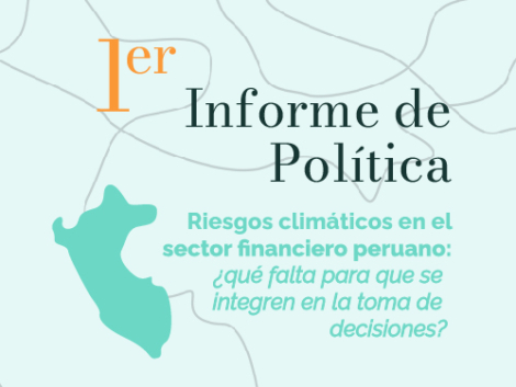 Informe-Política-1-LACADI-Perú-2022