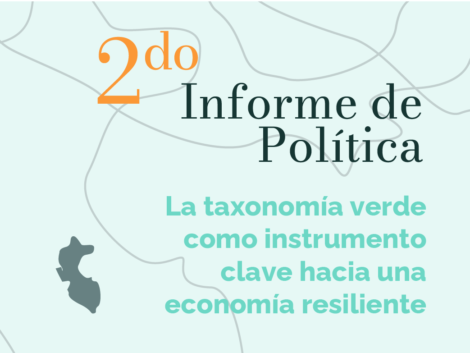 segundo-informe-politica-peru-2023